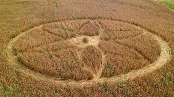 A picture containing grass, outdoor, building material, stone
Description automatically generated