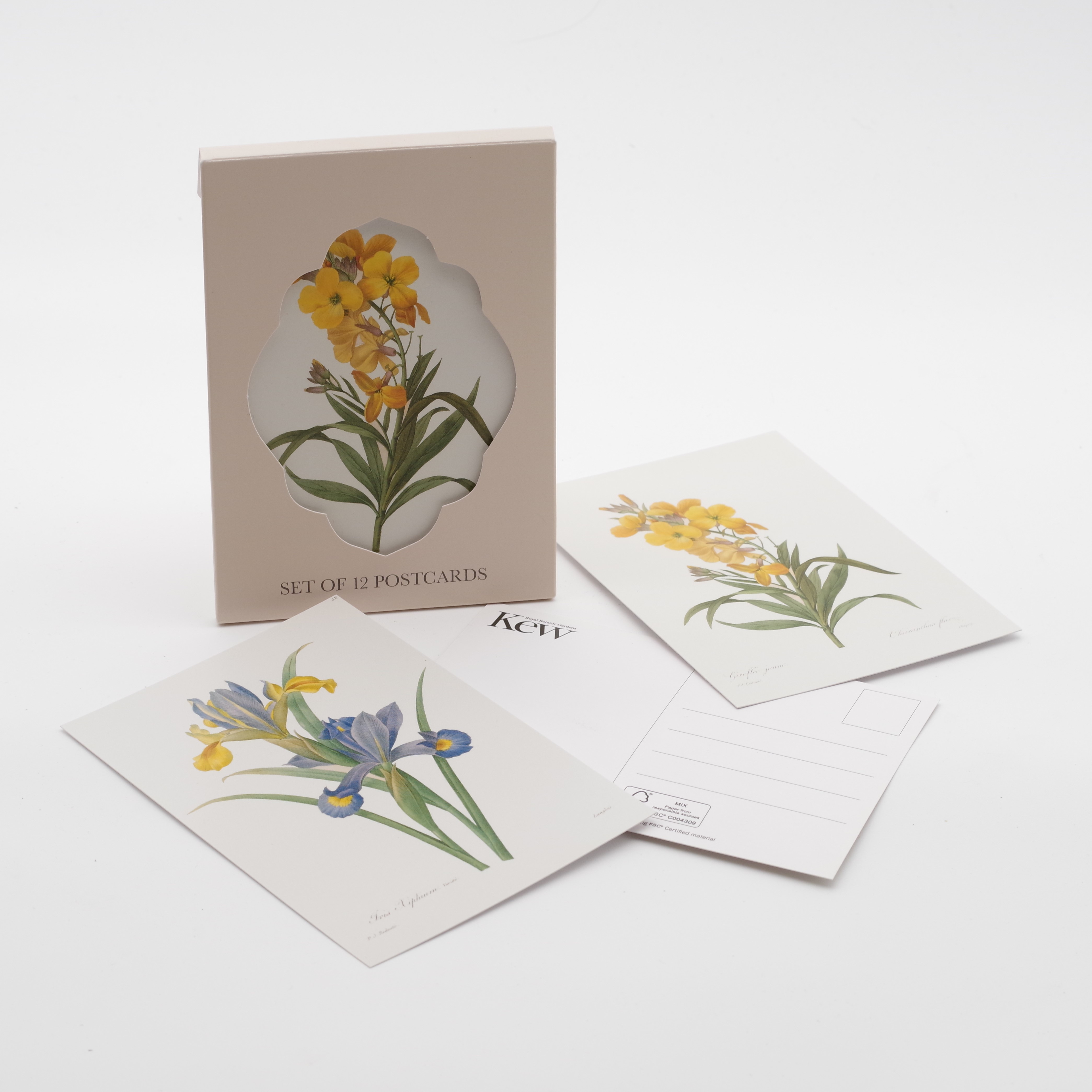 Wallet, Postcard, 12 cards