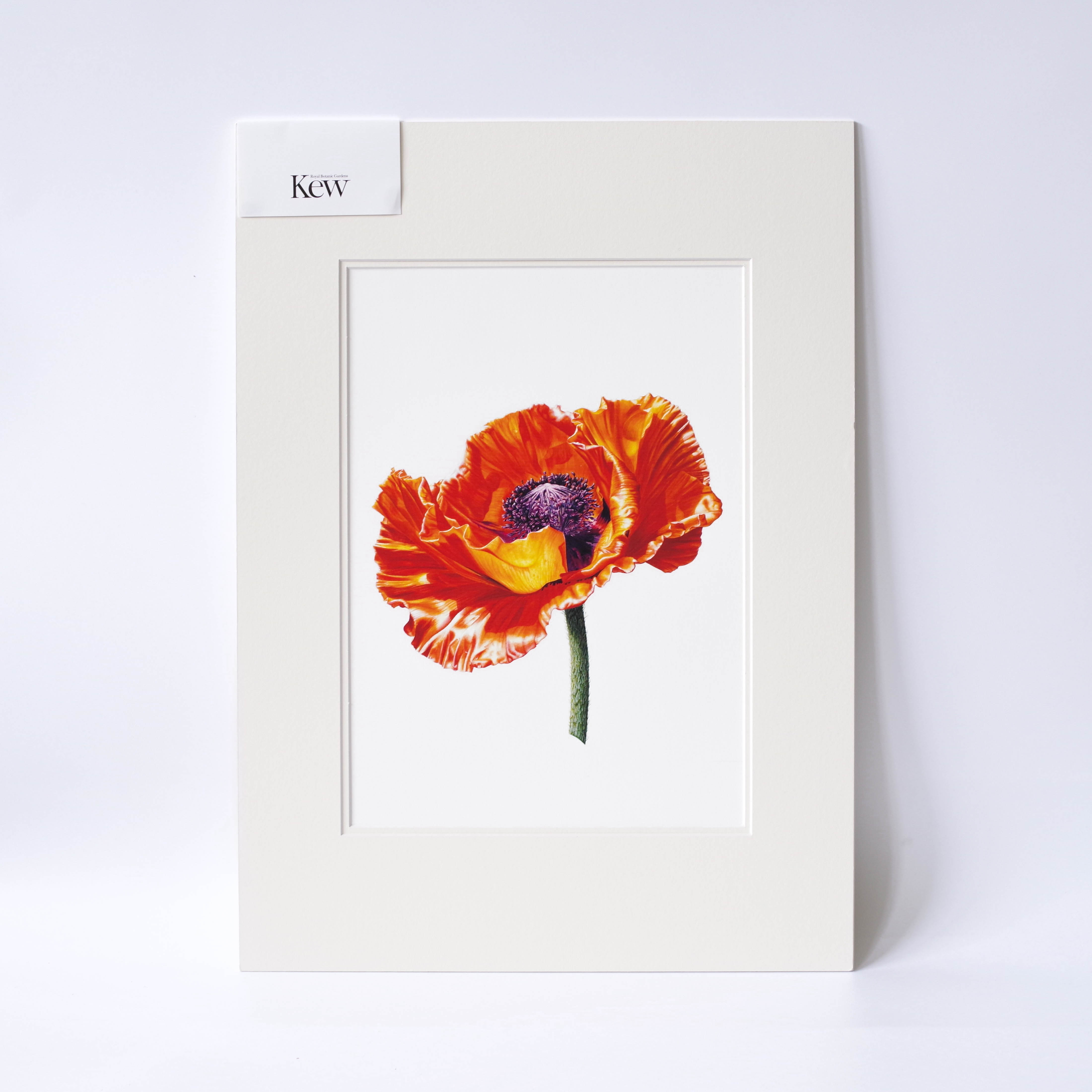 Print, Mounted, 24x16 