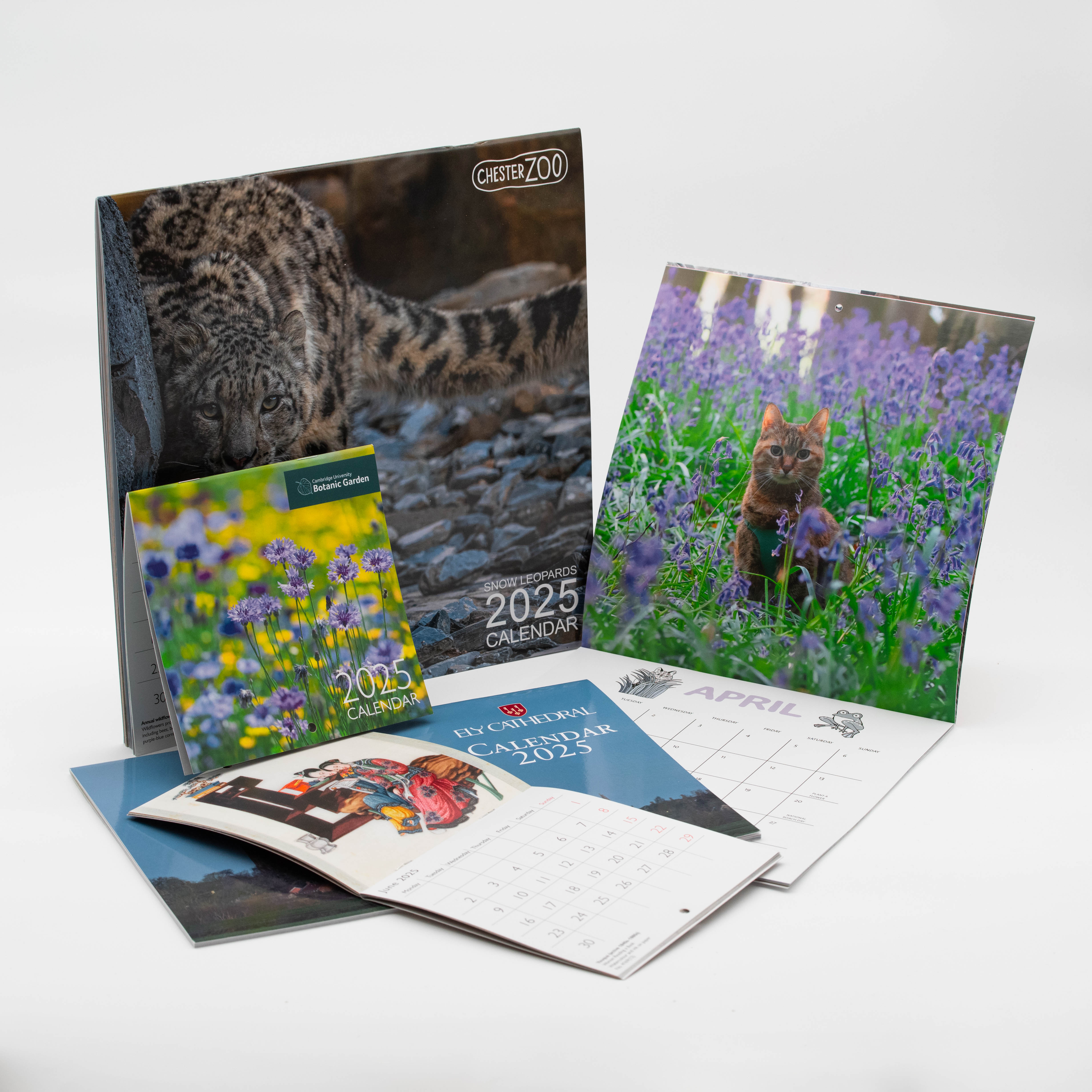Calendars & Diaries